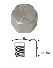 FILINOX - TAP ROSCA FEMELLA 1" AISI 316