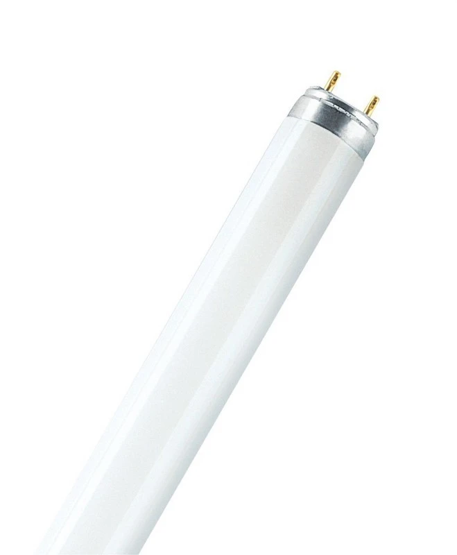 LEDVANCE - TUBO FLUORESCENTE LUMILUX L18/840 18W 590 MM G13