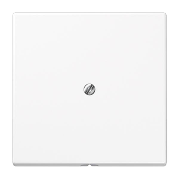 JUNG - PLACA SALIDA CABLE SOPORTE METALICO BLANCO ALPINO