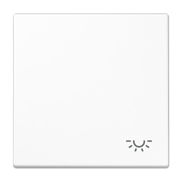 JUNG - TECLA SIMBOLO LUZ BLANCO ALPINO