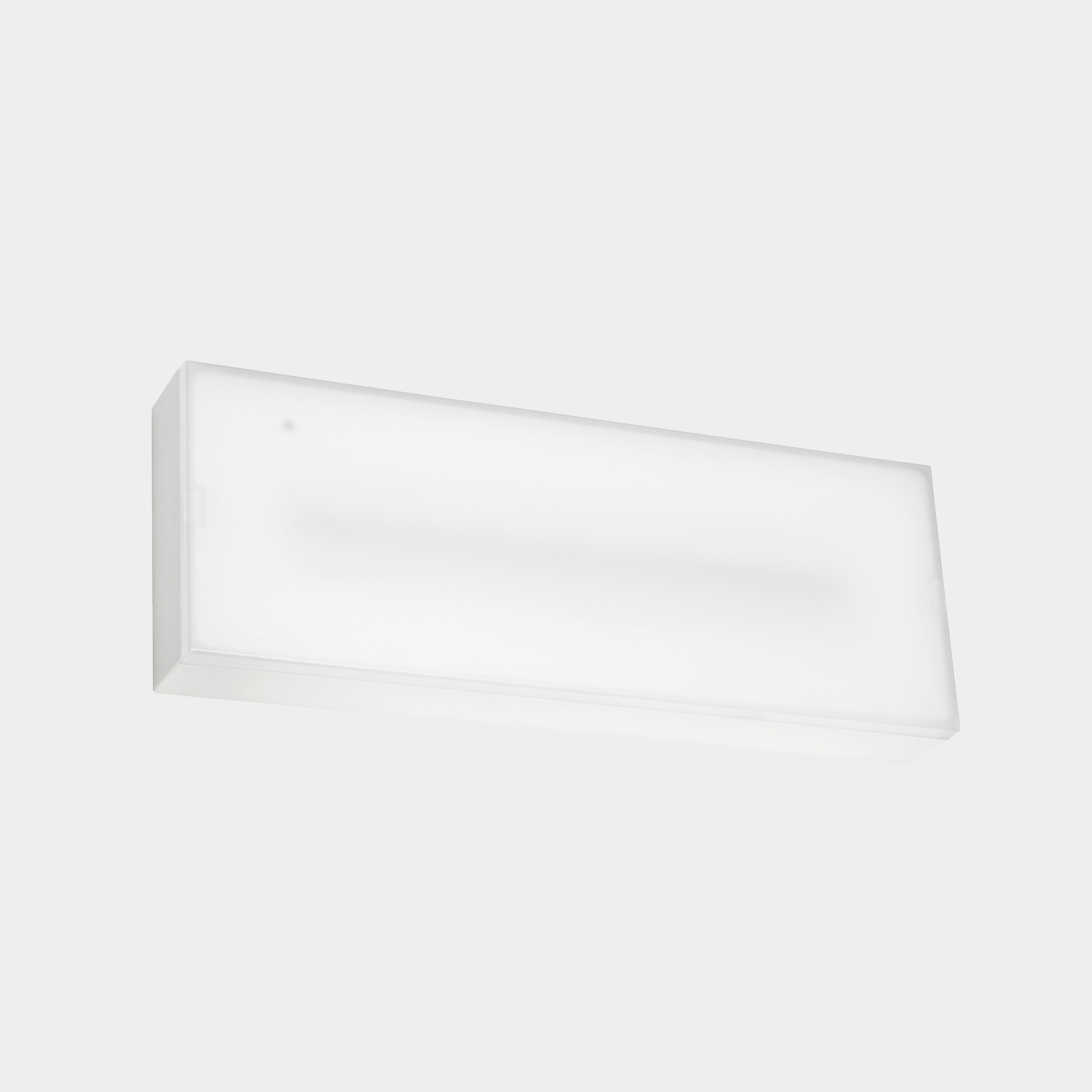 LEDS C4 - LLUMINARIA DE EMERGENCIA DECO SUPERFICIE IP44, 100LM -3H /PERMANENT