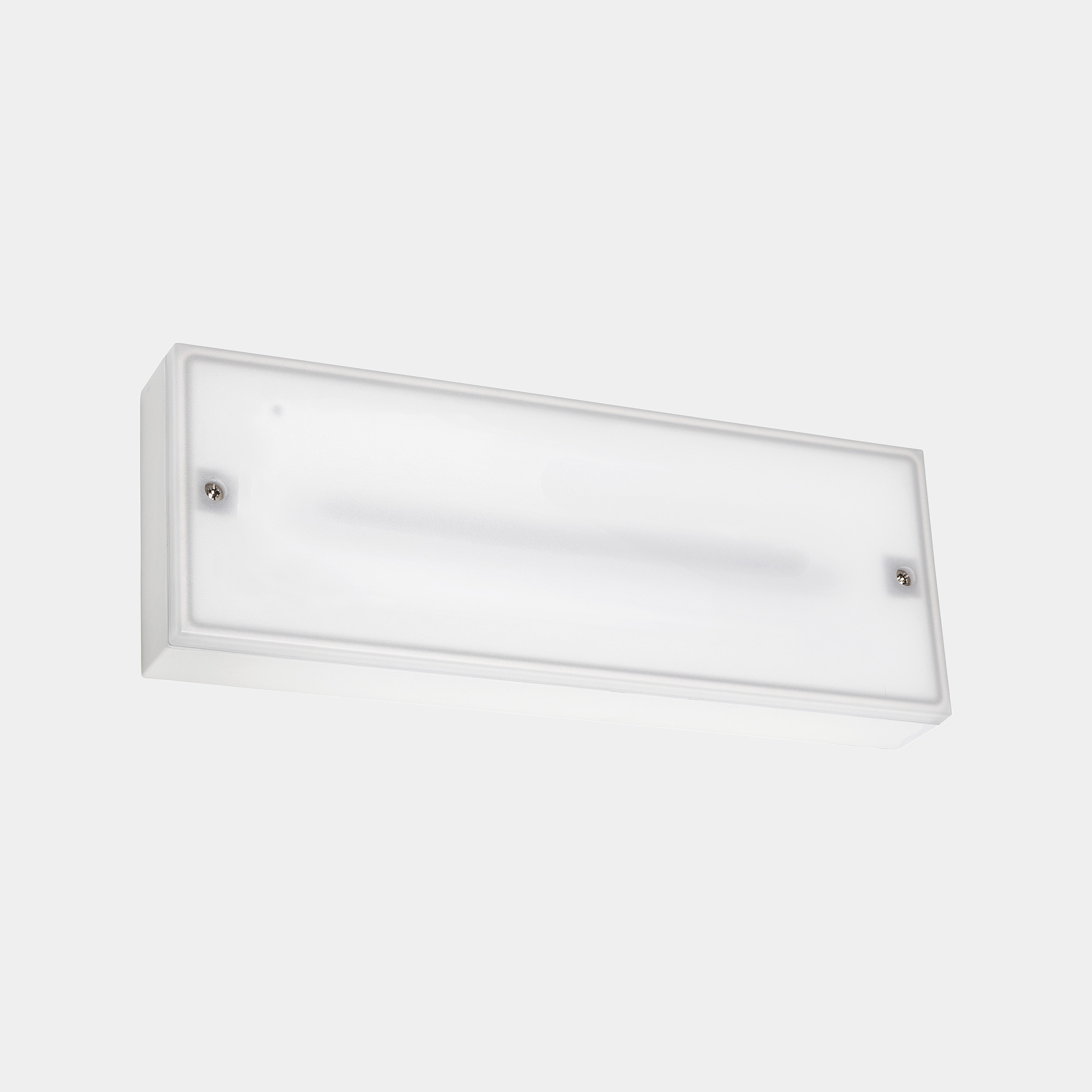 LEDS C4 - LLUMINARIA DE EMERGENCIA DECO SUPERFICIE IP65, 100LM -1H /PERMANENT