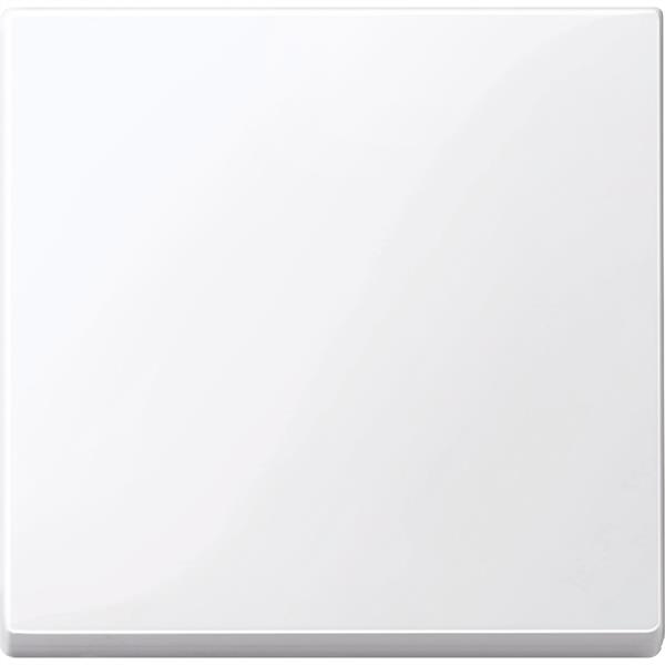 SCHNEIDER - TECLA SIMPLE ELEGANCE BLANCO ACTIVO