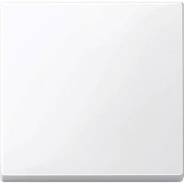 SCHNEIDER - TECLA SIMPLE ELEGANCE BLANCO ACTIVO