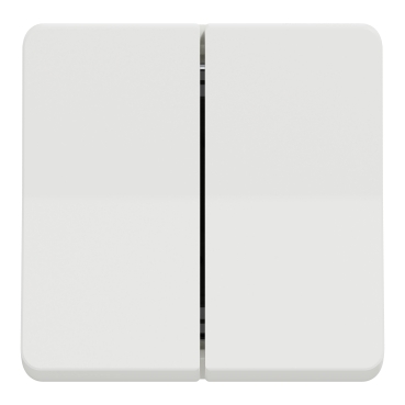 SCHNEIDER - MUREVA STYL DOBLE COMMUTADOR 1P 2 VIES 10AX BLANC IP55