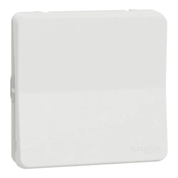 SCHNEIDER - MUREVA STYL COMMUTADOR 10AX IP55 BLANC
